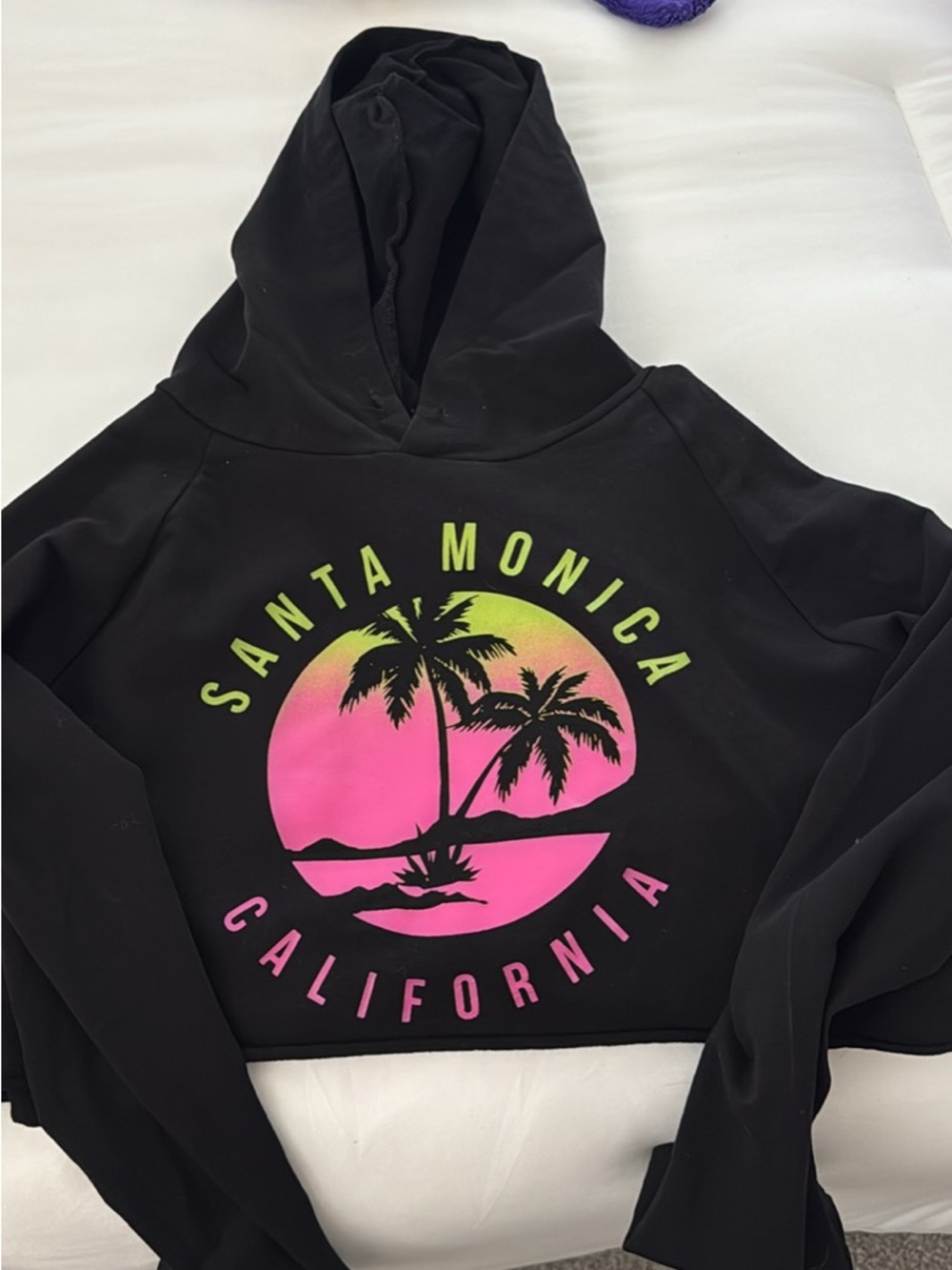 Santa Monica California Black Hoodie with Pink & Lime Palm Graphic